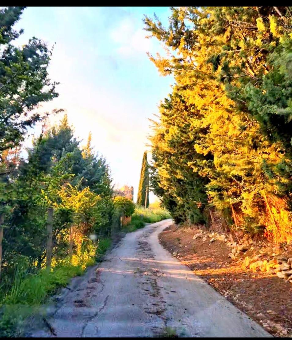 Donna Caterina House, Autentica Oasi Di Confort E Relax Nel Cuore Della Sicilia Pietraperzia Exterior foto
